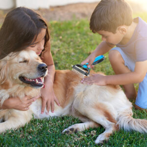 PELOLISSE™ - BROSSE Douceur Pelage Parfait