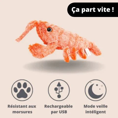 HOMAPELU™ – HOMARD INTERACTIF POUR CHIEN – Image 5
