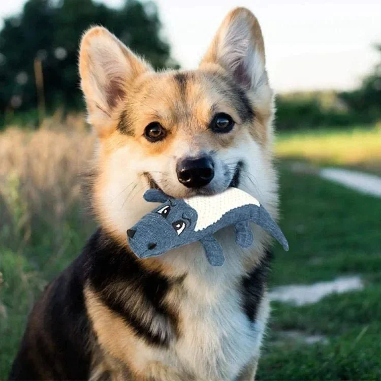 LAPELU™ - ALLIGATOR EN PELUCHE – Image 6